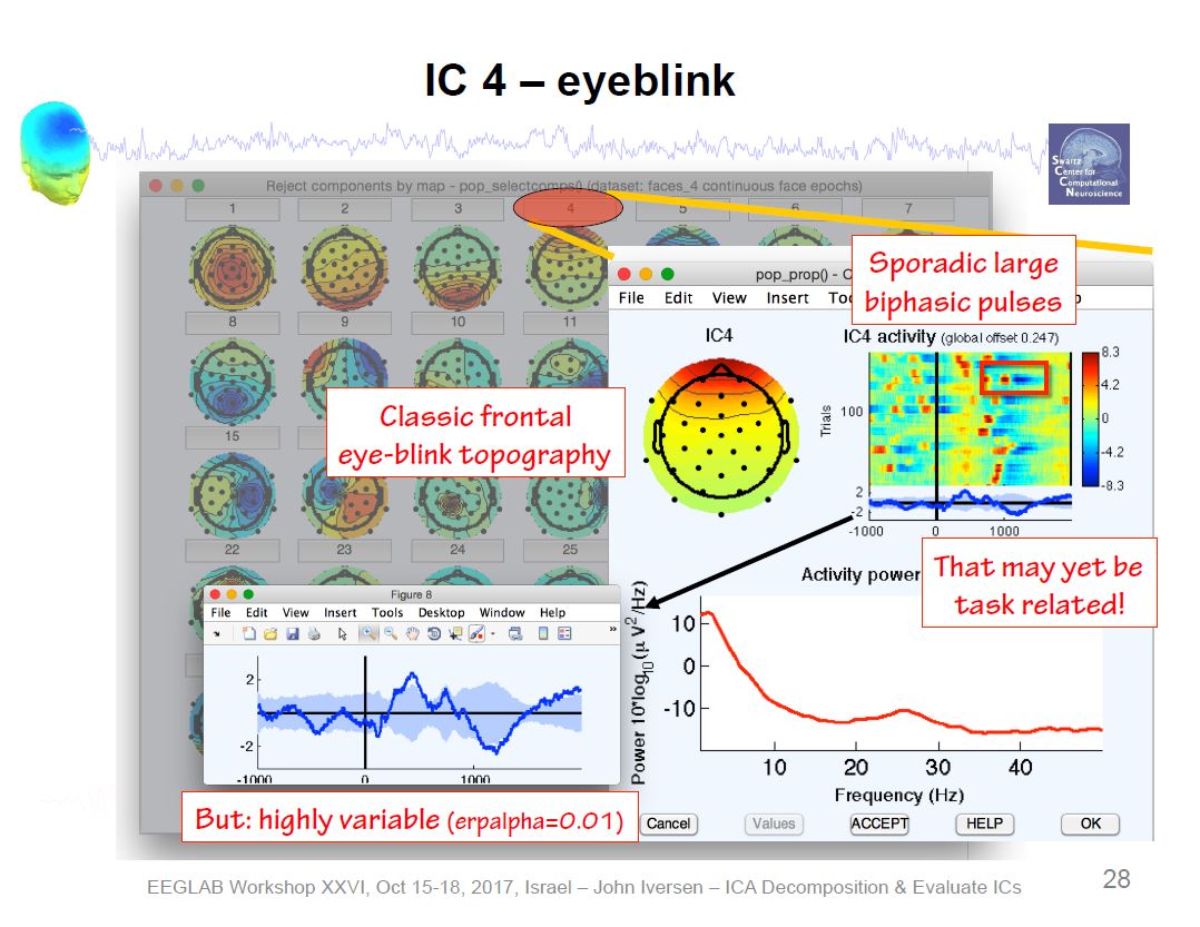 ICA Eye Blink Artifact